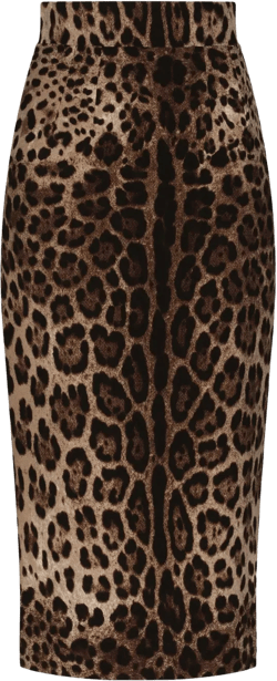 leopard-print midi skirt
