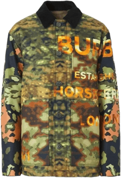 Multicolour Camouflage Logo-print Jacket