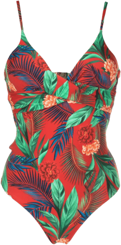 Bianca botanical-print swimsuit