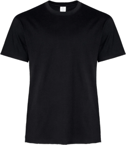 CNL - ATC 2000 Everyday Cotton Ringspun SS Tee