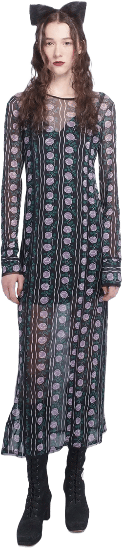 Rosetti Mesh Maxi Dress