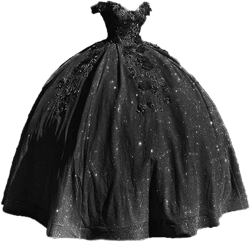 Long Prom Dress Off The Shoulder Quinceanera Dresses Ball Gown Tulle 3D Hand Made Flowers Sweet 16 Dresses 20 Black