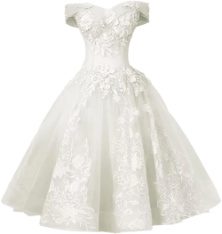 Women's Tulle Lace Appliques Prom Dress Off The Shoulder Mini Dress Short Dresses Cocktail Dresses for Teens 10 Ivory