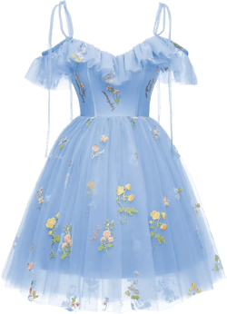 Short Homecoming Dresses for Teens Flower Embroidery Tulle Spaghetti Strap Knee Length Daisy Floral Prom Dresses 26 Plus 09-baby Blue1