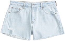 Curve Love Mid Rise A-Line Short