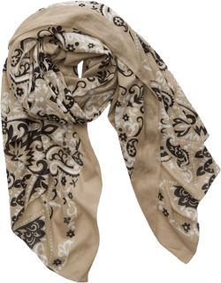 Maison Lecomte Flament Cotton Voile Scarf