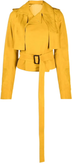 belted cropped jacket