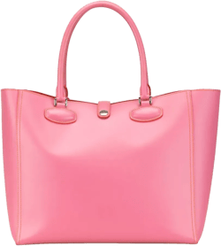 2010-2024 Leather Leo tote bag