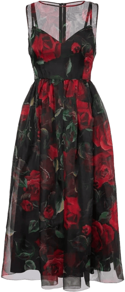 Dolce &amp; Gabbana Women's Red Floral Silk Cocktail Dress