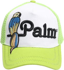 Plam Angle Hat Fashion Baseball Cap Bear Parrot Embroidered Cap
