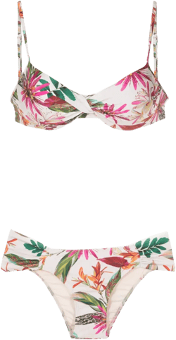 Vitoria botanical-print bikini