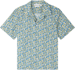 Steve shirt
