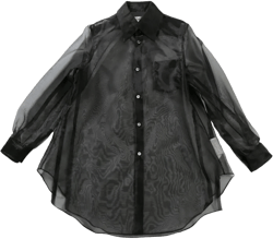 semi-sheer shirt