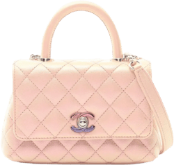 2021 Coco XXS handbag 