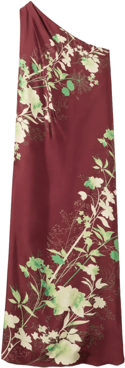 Roy One-shoulder Floral Silk Maxi Dress In Bordeaux
