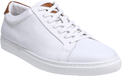 Allen Edmonds Courtside Sneaker
