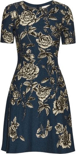 rose-print jacquard mini dress