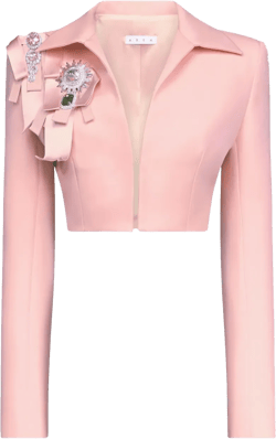 crystal-embellished cropped jacket