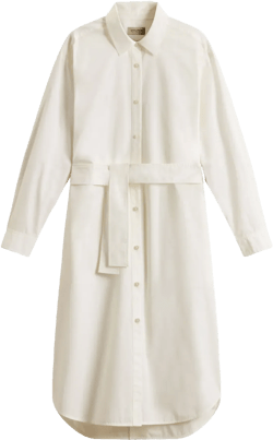 belted shirt dress