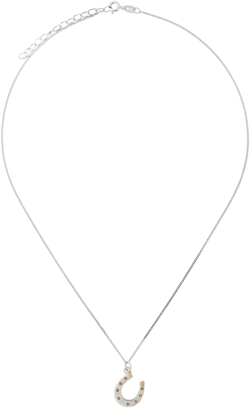 horseshoe pendant necklace