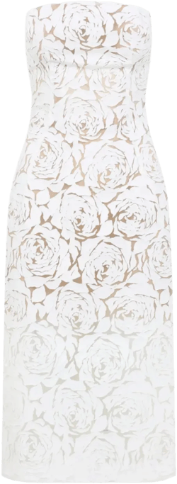 floral-lace dress
