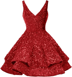 Plus Size Short Homecoming Dresses Red Sleeveless A Line Sparkly Juniors Homecoming Dress 20W