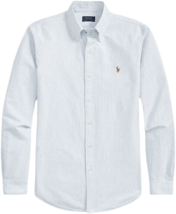 Polo Ralph Lauren Custom Fit Striped Oxford Shirt Blue