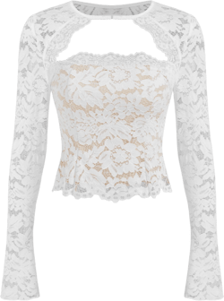 Lace Round Neckline Cut Out Long Sleeve Top