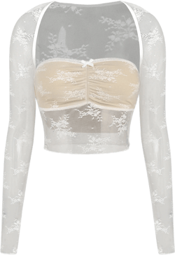 Sheer Lace Tube Top & Long Sleeve Crop Top