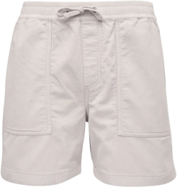 drawstring shorts