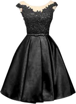 Women's Floral Lace Off Shoulder Prom Dresses Short Homecoming Dresses Backless Party Dresses for Wedding Black 10