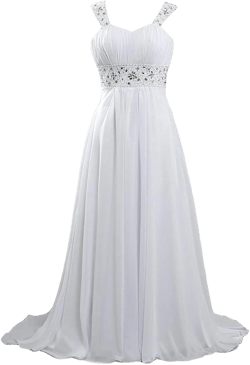 Fanciest Women's Lace Chiffon Beach Wedding Dresses for Bride 2025 with Sleeves Long Bridal Gown at Amazon Women’s Clothing store