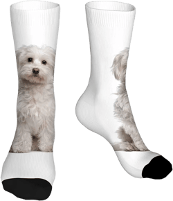 Pehede Socks Mens Fun Dress Socks for Women Funny Novelty Crazy Design Socks 7-12 Cute Dog