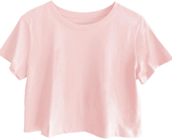 Women's Boxy Crop Top Round Neck Short Sleeve Casual 100% Cotton Cropped Tee T-Shirt Large Light Pink