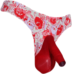 LESOYA Men's Sexy Ice Silk Triangle Bikinis Low Rise Panties Lace Sheer Boxer Briefs Underwear with Sheath Pouch Large Red,sheath Closed