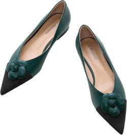 Amazon.com | C.Paravano Flat Shoes for Women | Pointed Toe Shoes for Women | Women Pumps | Women's Flats | Pointed Toe Flats | Slip on Shoes Ballet Flats (Size 11.5,Green) | Flats