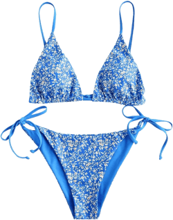 Womens Triangle Bikini Sets Floral Print Tie String TID Side High Cut Bikini Swimsuits Two Piece Bathing Suit