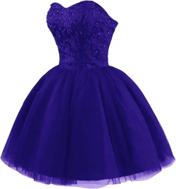 Strapless Short Tulle Homecoming Dresses for Teens Lace Prom Dresses for Women Beaded A Line Party Cocktail Dresses 12 Regency