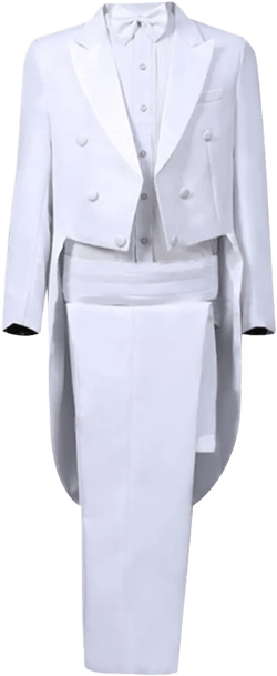 Mens 2 Piece Classic Fit Suit Set 1 Button Casual Gothic Tailcoat Jacket Vest Pants Set Party Steampunk Jacket X-Large #05 White-e