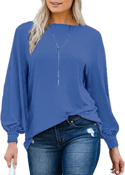 PESION Womens Casual Bishop Sleeve Blouse Boat Neck T-Shirts Tunic Tops Blue Medium