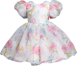 Toddler Kids Girls Puff Sleeve Net Gauze Tutu Princess Dress Romantic Prom Party Dress O-Neck Tulle Mini Dress 2-8Y 2-3T Pink-c