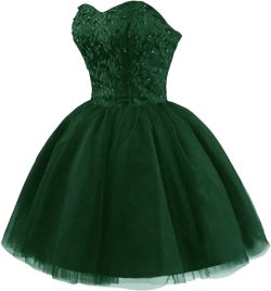 Strapless Short Tulle Homecoming Dresses for Teens Lace Prom Dresses for Women Beaded A Line Party Cocktail Dresses 16 Plus Emerald Green
