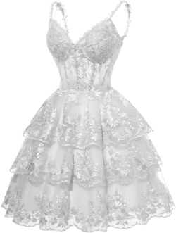 Ivory Women Sweetheart Glitter Short Homecoming Dresses for Teens A Line Lace Sparkly Sequin Lace Prom Cocktail Party Gowns 12