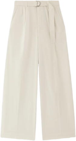 The Pleated Wide-Leg Chino