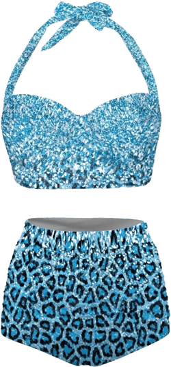 Women's Two Pieces Bikini Sets Halter Top with Swimsuit Bottom High Waisted Bathing Suit Tummy Control Swimwear Leopard - Blue Small