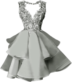 Lace Appliques Homecoming Dresses for Teens Tulle V Neck Short Prom Dress A Line Cocktail Dress Silver 8