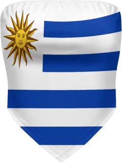 Linkasi Argentina Flag Women's Sexy Open Back Thong Bikini Tie Sides Bottom Triangle Bikini Swimsuit : Clothing, Shoes & Jewelry