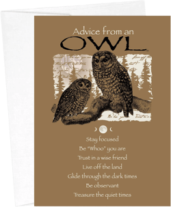 Advice from an Owl Birthday Card