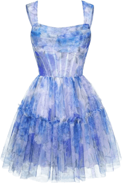 Spaghetti Strap Tulle Floral Print Homecoming Dress for Teens Mini Senior Blue Rose Summer Prom Ball Gown for Women Plus Size 22W