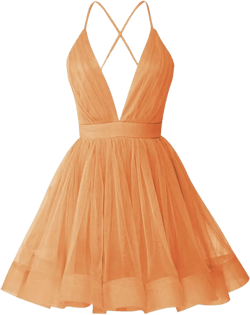 Homecoming Dresses for Juniors Short Tulle HOCO Dresses 2025 Deep V Neck Cute Cocktail Party Dresses for Women Mini Fairy Flowy Gown Orange